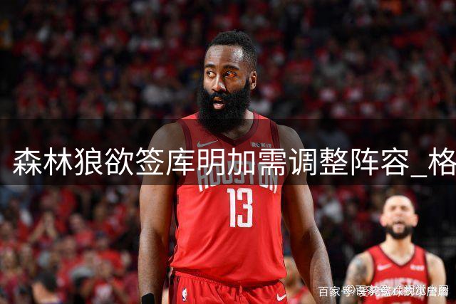 森林狼欲签库明加需调整阵容 格林或成牺牲品